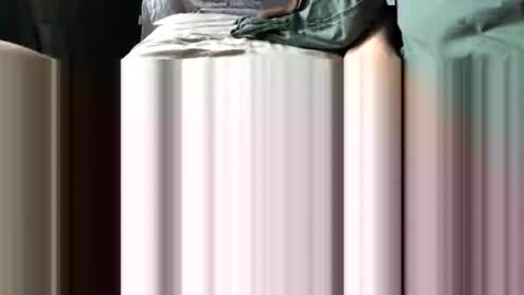 challe online show from December 3, 9:51 am