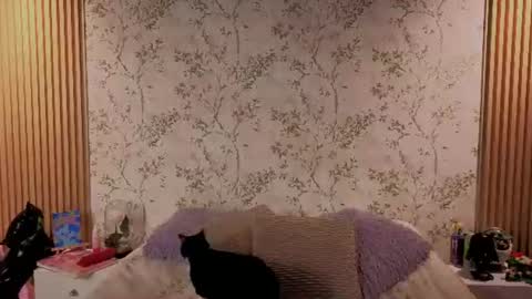 Snapshot of charlote__miller chatting on July 14, 12:00 pm You honey online show from July 14, 12:00 pm