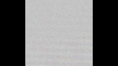 Charlotte online show from January 21, 1:54 pm