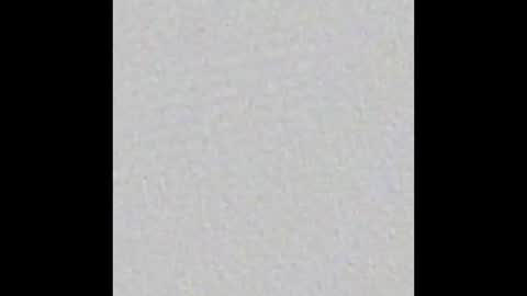 Charlotte online show from March 3, 2:59 pm