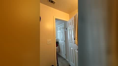 Snapshot of chase2attract chatting on March 4, 6:03 pm Chase2Attract online show from March 4, 6:03 pm