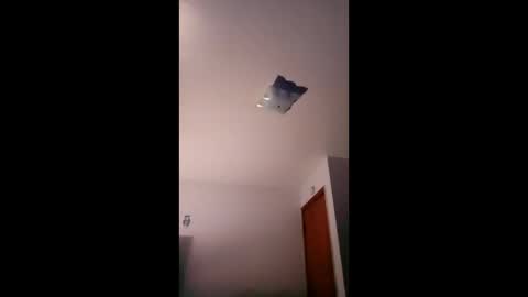 cheeze111 online show from April 29, 10:19 am