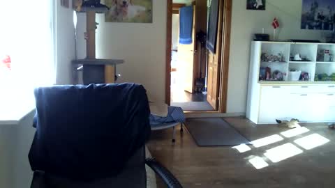 Snapshot of chefben666 chatting on October 16, 10:27 am chefben666 online show from October 16, 10:27 am