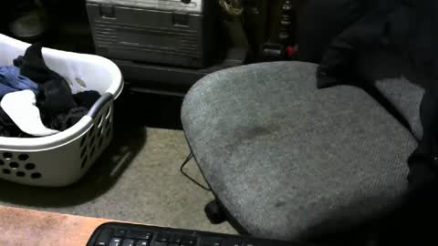 Snapshot of chefy999 chatting on February 12, 11:40 am chefy online show from February 12, 11:40 am