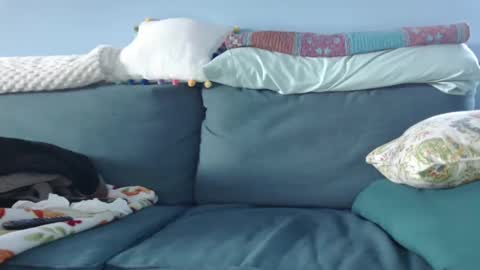 Snapshot of chelseasentra1 chatting on January 15, 8:37 pm Chelsea online show from January 15, 8:37 pm