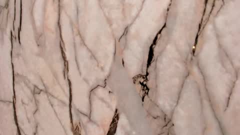 Emma  online show from November 22, 11:31 am