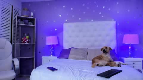 Snapshot of cherry_sussan chatting on February 1, 4:24 am Sussan Cherry online show from February 1, 4:24 am