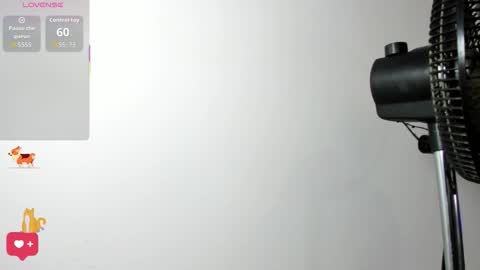 Samy Perez online show from February 22, 7:23 pm