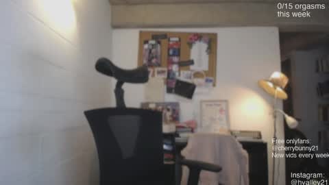 Snapshot of cherrybunny21 chatting on April 28, 2:27 am Sarah Prez online show from April 28, 2:27 am