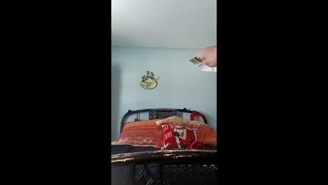 chichibird online show from December 4, 5:21 pm