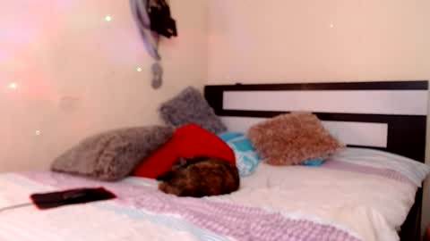 Snapshot of chikandela chatting on May 12, 9:12 pm Valentina online show from May 12, 9:12 pm