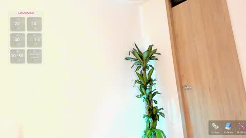    Schedule 7am to 2pm Col online show from February 11, 11:59 am