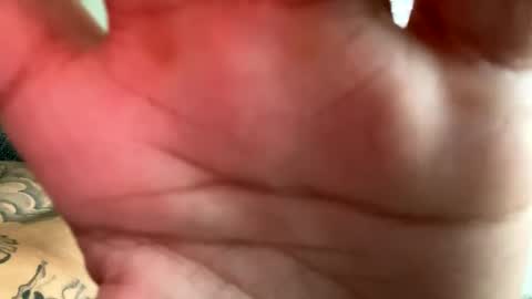 CHINO online show from September 14, 4:39 pm