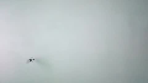 chispahot69 online show from November 26, 7:53 am