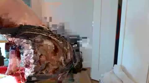 christophe_throbin online show from January 31, 10:52 pm