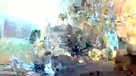 Snapshot of christopher1087 chatting on February 3, 1:15 am christopher1087 online show from February 3, 1:15 am