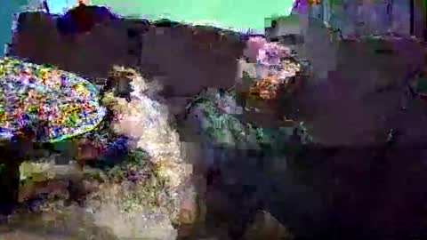 Snapshot of christopher1087 chatting on March 3, 7:58 am christopher1087 online show from March 3, 7:58 am