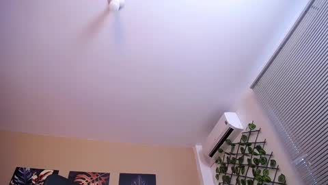 Christopher Black online show from December 17, 1:06 pm