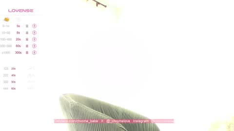 Gwendy Fox online show from January 12, 4:08 pm