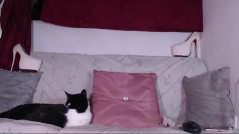 cicimom online show from January 24, 3:32 am