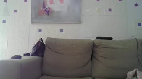 cinthia2525 online show from November 18, 11:14 am