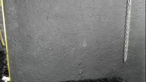 Snapshot of cintyarose chatting on February 26, 1:21 pm cintyarose online show from February 26, 1:21 pm