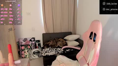 Paulina online show from November 6, 9:37 pm