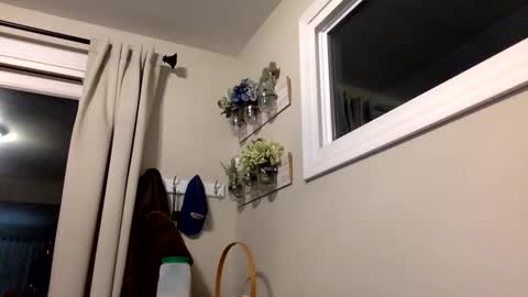 COACH online show from December 14, 12:49 am