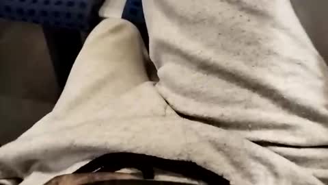 Cocolino  online show from October 17, 5:59 pm