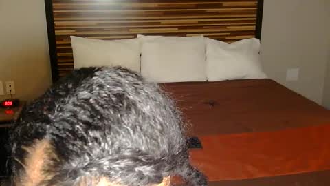 chanel online show from March 2, 9:10 pm