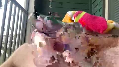 cocostarfish online show from March 1, 9:06 pm