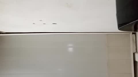 Snapshot of cokaghost777 chatting on October 29, 2:36 am cokaghost777 online show from October 29, 2:36 am