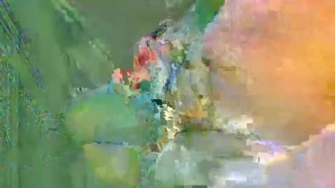 colourlight online show from November 24, 12:10 am