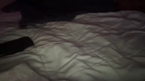 Snapshot of concretecarpenter chatting on November 9, 8:12 am concretecarpenter online show from November 9, 8:12 am