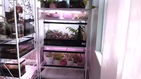 ANR Mommy online show from November 14, 3:44 pm