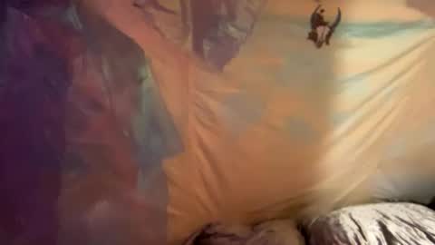 coochiechakrahealer online show from December 30, 9:48 am