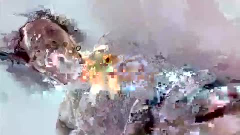 Snapshot of cook135710 chatting on November 17, 7:08 pm Mount N Drew online show from November 17, 7:08 pm