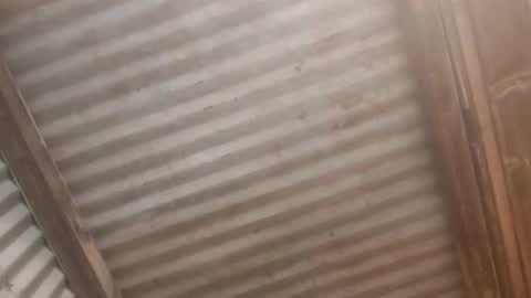Jaiscookie cum play with me online show from February 19, 6:31 am