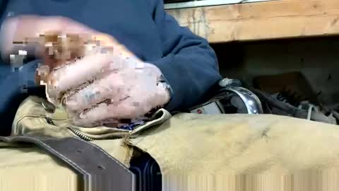 Snapshot of copart84 chatting on December 28, 5:03 pm copart84 online show from December 28, 5:03 pm