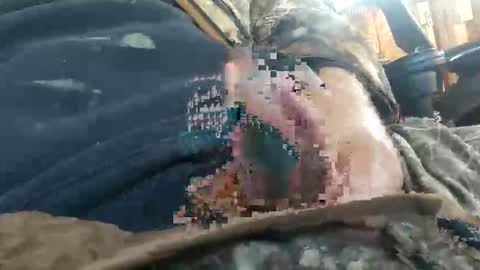 cornfed15c online show from November 23, 2:28 pm