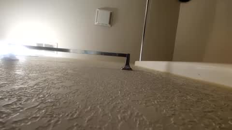 countdownsub online show from January 12, 10:34 am