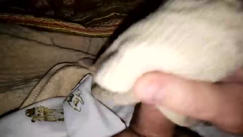 countdownsub online show from March 8, 4:44 pm