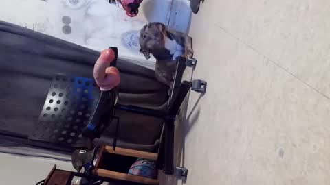 drbucknaked online show from October 29, 6:15 am