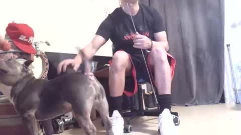 drbucknaked online show from November 30, 2:37 am