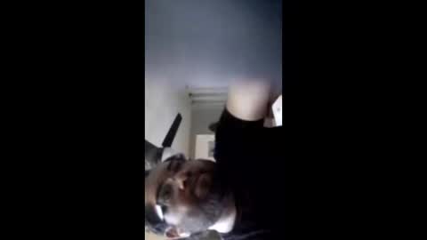 crazychubbyguy69 online show from February 12, 10:43 am