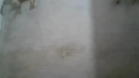 Snapshot of crazzy_booy chatting on June 11, 4:32 am crazzy_booy online show from June 11, 4:32 am