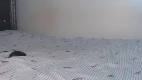 Snapshot of creamybabes0 chatting on January 6, 5:33 am creamybabes0 online show from January 6, 5:33 am