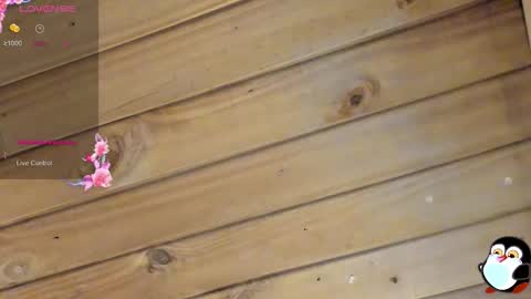 Cristal online show from March 22, 4:05 am