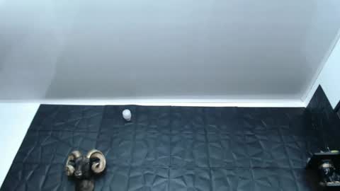 Hanna  online show from February 27, 5:56 am