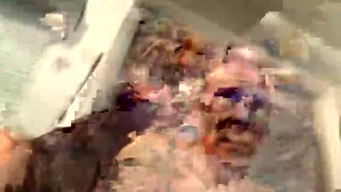 critterick6674 online show from March 31, 11:27 pm